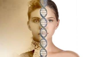Генеалогический ДНК-тест